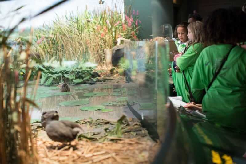 Students from Sibley Elementary take part in the museum's IMMERSE program, a week-long learning experience where students use the museum as their classroom.