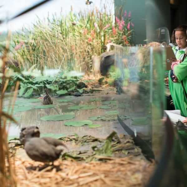 Students from Sibley Elementary take part in the museum's IMMERSE program, a week-long learning experience where students use the museum as their classroom.