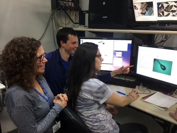 Rachel Powers, Argonne lab technician Josh Mitchell, and student Alina Morales centering a protein crystal in the X-ray beam at Argonne.