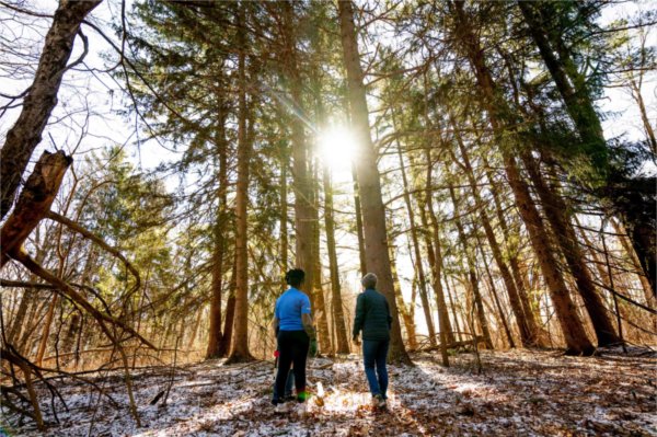  Two college students stand in a wooded area as sunshine spills through trees. 