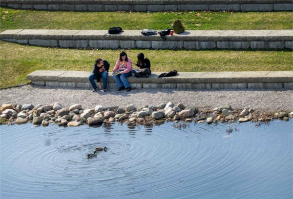  College student sit together near a pond as they watch a pair of ducks swim. 
