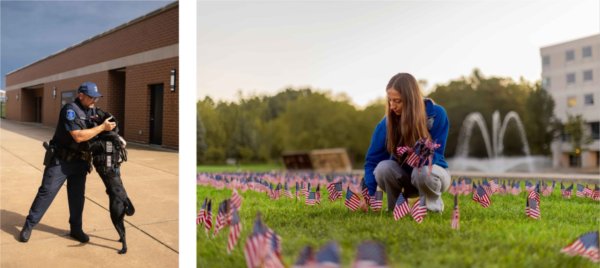 left, a police dog jumps up on its partner. Right, a college student places small American flags into the ground.  