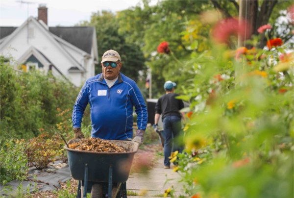 A person wearing a blue shirt pushes a wheelbarrow of mulch through a flowered area. 