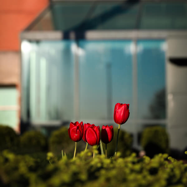 Photo of Allendale Campus.