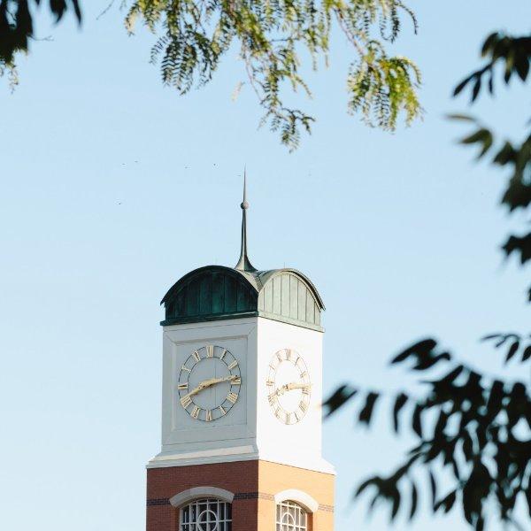 The top of a carillon is seen in the background. Tree branches are in the foreground.