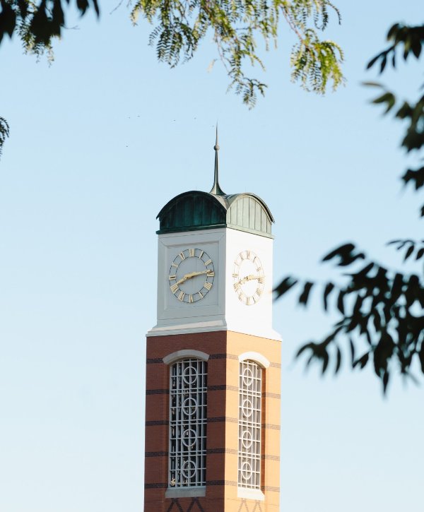 The top of a carillon is seen in the background. Tree branches are in the foreground.