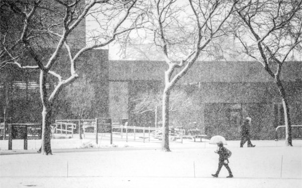  A person carries an umbrella to keep out of the snowy conditions on a college campus. 