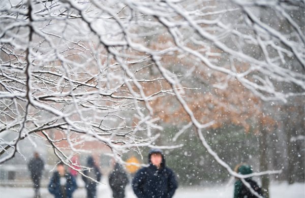  College students walk past snow-covered trees on a university campus. 