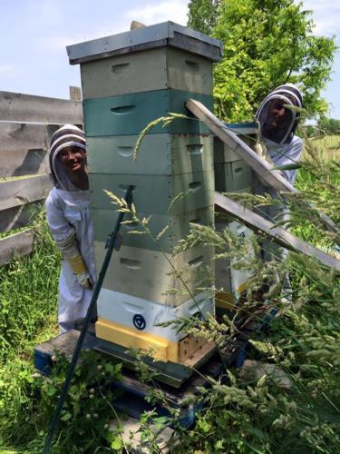 Emily Noordyke, left, and Kali Smolen stand by bee hives; Noordyke is caring for the bees and collecting data as part of her Student Summer Scholars work. 