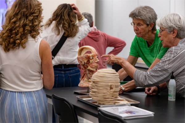 Tour participants look at the plastinated specimens in the anatomy lab in the DeVos Center for Interprofessional Health.