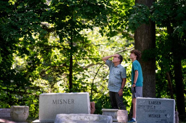  A father and son react to trees suffering from issues in a cemetery. 