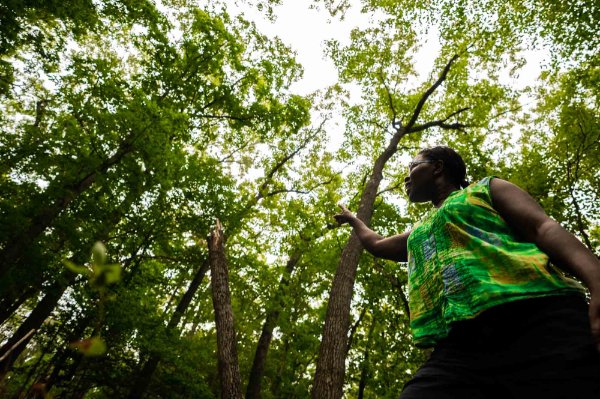 A faculty member points upward toward a canopy of trees