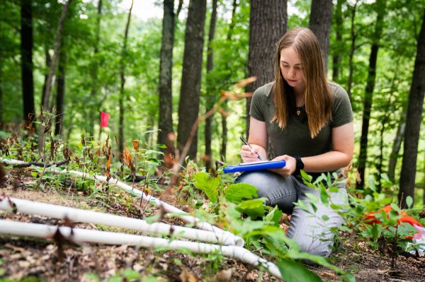 A research assistant records information while kneeling on the ground in the woods.
