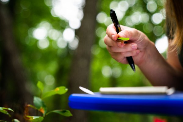 A research assistant holds a leaf and pen in one hand while holding a notepad in the other hand.