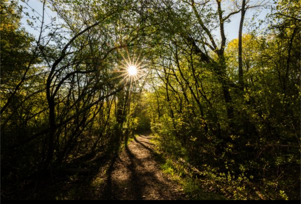 A photo taken as the sun sets on a path through the ravines.