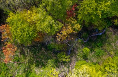 A drone photo of Grand Valley's ravines. 