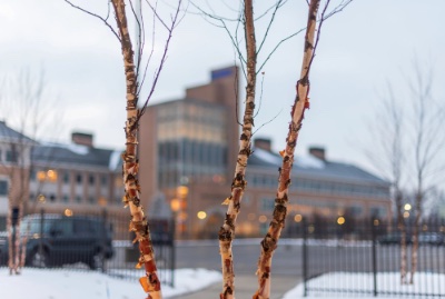 Winter scene of tree branches in foreground with blurred image of Seidman Center in background at GVSU.