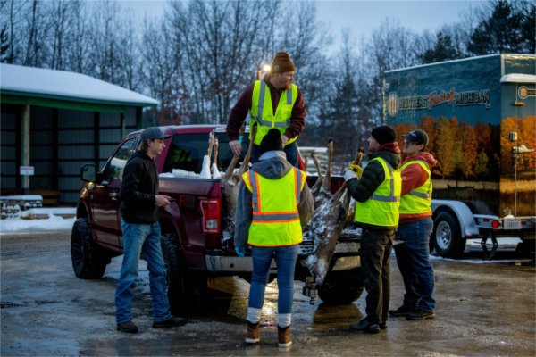 Five people, four of them wearing yellow vests, unload harvested deer from the bed of a pickup.
