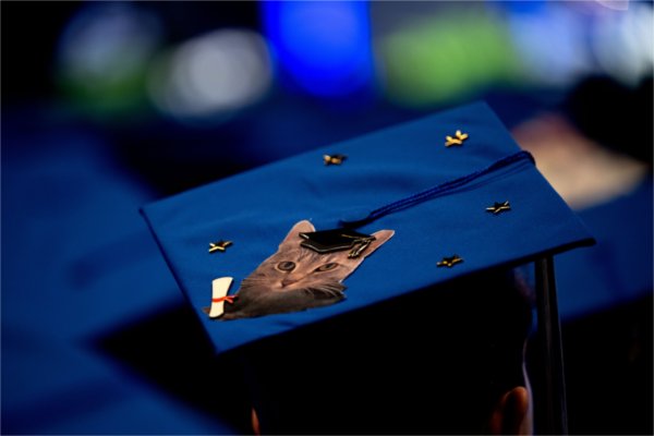 A photo of a cat adorns the mortar board of a graduate during Saturday morning&#8217;s Commencement ceremony. 