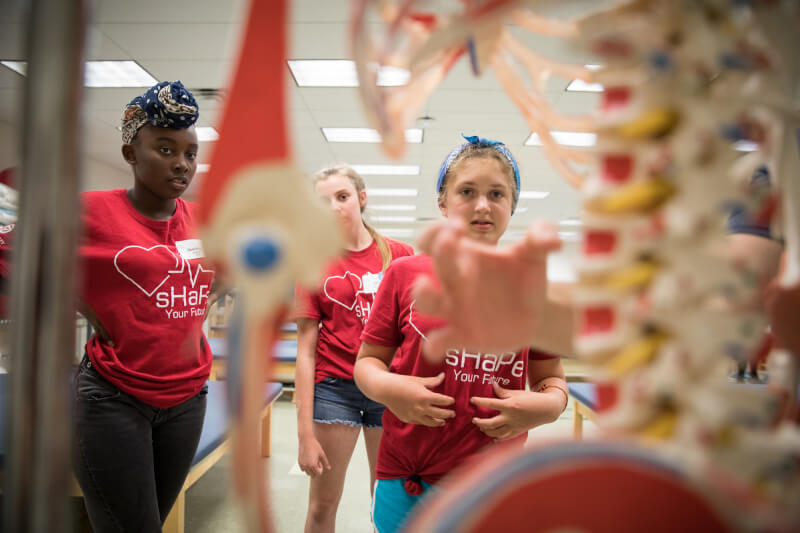 Students learning about human anatomy and physiology during sHaPe Camp.