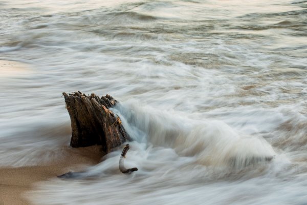 Waves crash against driftwood in Lake Michigan