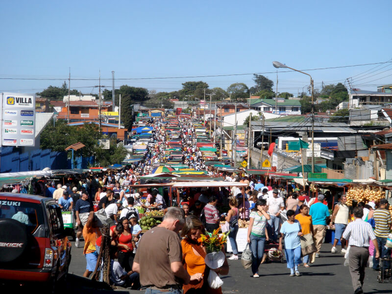 Area Studies has changed its name to Area and Global Studies.