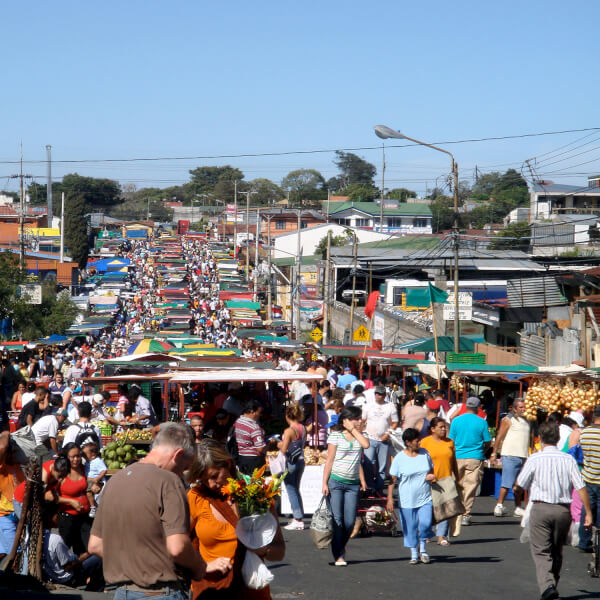 Area Studies has changed its name to Area and Global Studies.