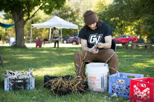 A student harvests and prepares produce at the Sustainable Agriculture Project.