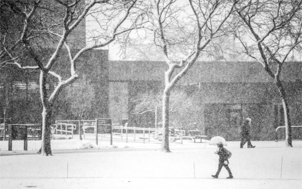 A person walks using a clear umbrella to walk among the snow-covered trees on a college campus.  