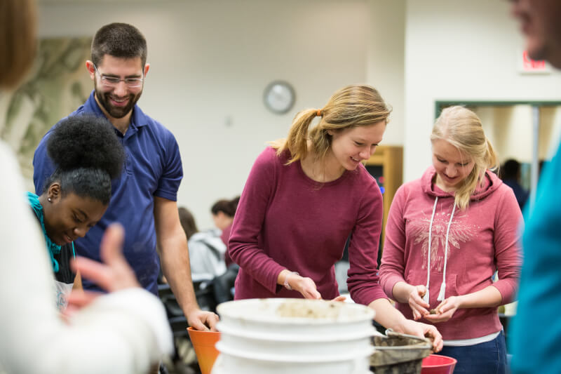 People working in soil