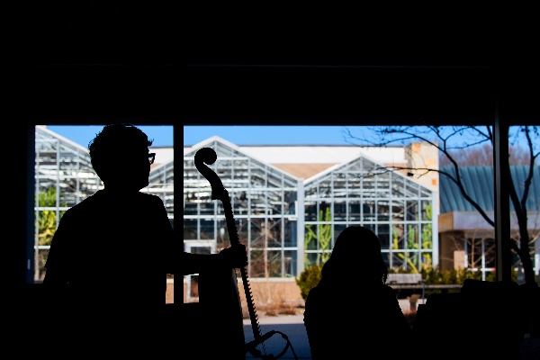 A cello player is silhouetted against a window with greenhouses in the background. 
