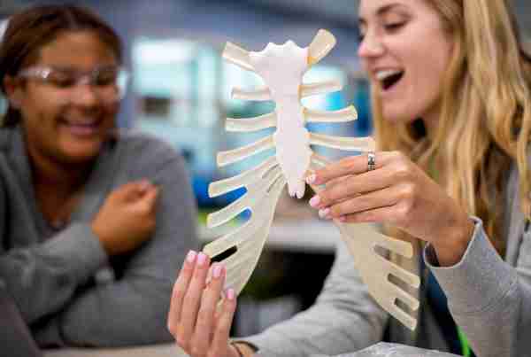  Two college students look at an anatomical model of the sternum. 