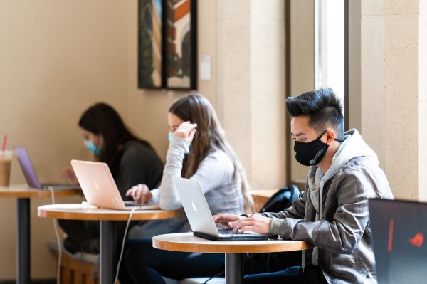 Students studying on campus.