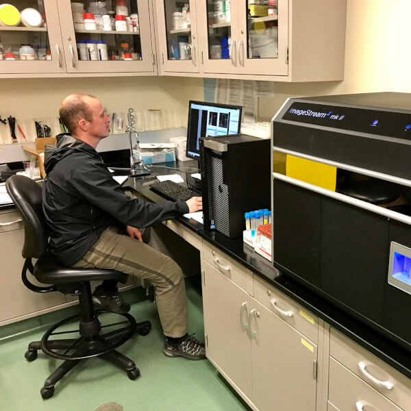 Senior biology major Darrick Gates reviews results from the imaging flow cytometer.