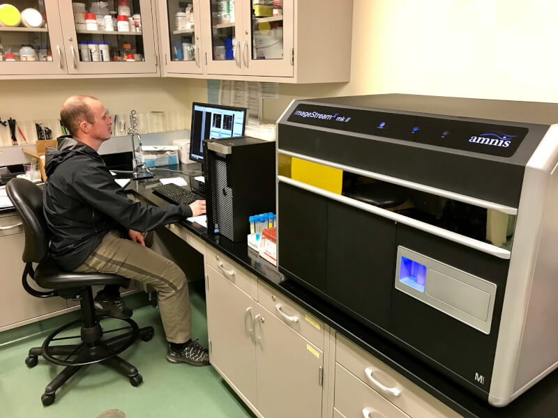 Senior biology major Darrick Gates reviews results from the imaging flow cytometer.