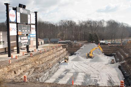 Photo by Elizabeth Lienau