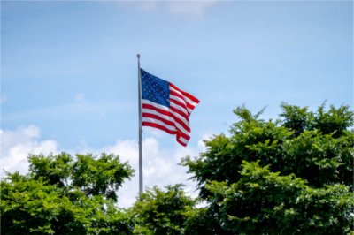 An American Flag blows above trees.