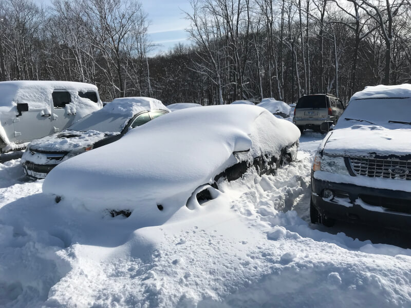 Heavy snow on cars on the Allendale Campus.