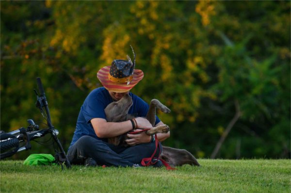  A person wearing a patriotic hat snuggles with a dog. 