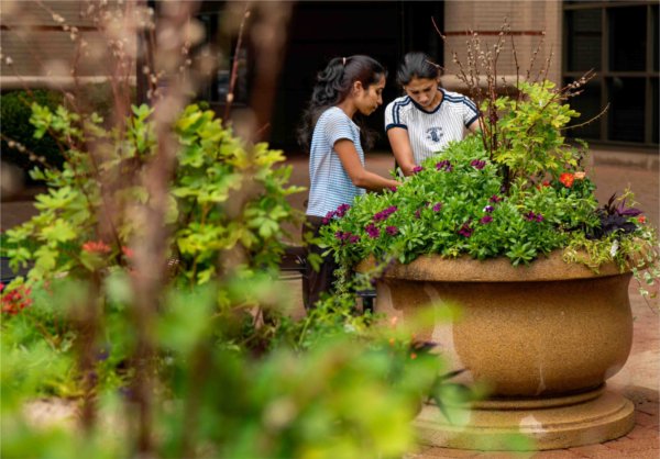  Two people work on a pot of flowers on a college campus. 
