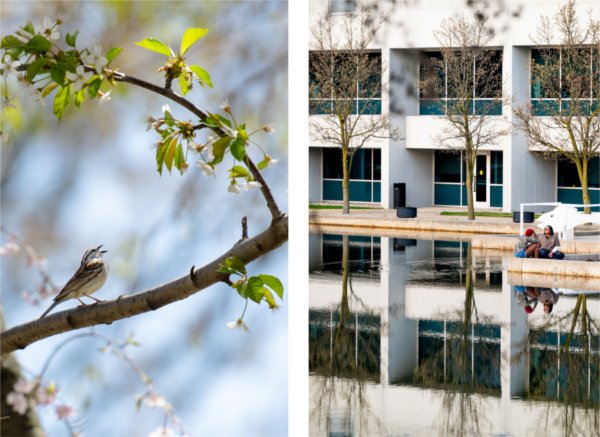  A bird chirps as it rests on a tree branch, left. At right, a couple sit near Zumberge Pond is reflected in the water. 