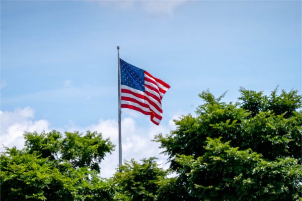 An American Flag flies above trees