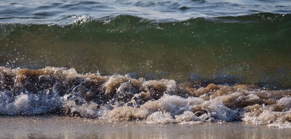 The From Students to Stewards Initiative aims to ensure future generations are well educated about a resource so important to Michigan.