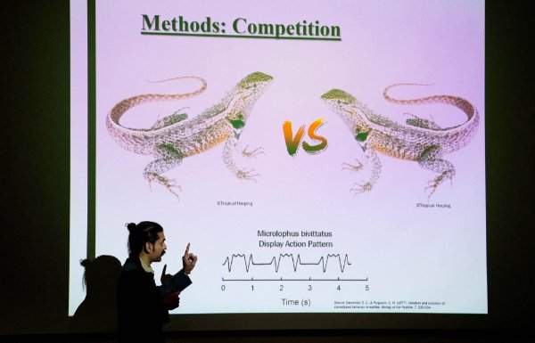 A person points at a slide that shows two lizards and contains the words, "Methods: Competition."