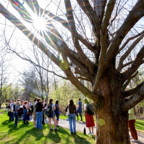 A group stands together near a large tree in the arboretum.