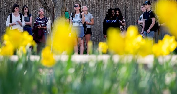 A group of people stand in the Mackinac Hall courtyard and observe the trees growing. In the foreground, yellow flowers bloom. 