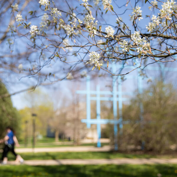 Allendale Campus tranformational link