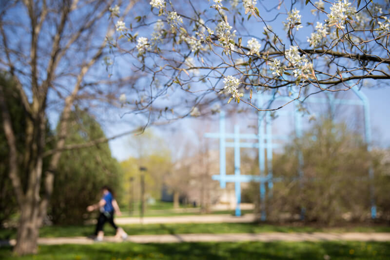 Allendale Campus tranformational link