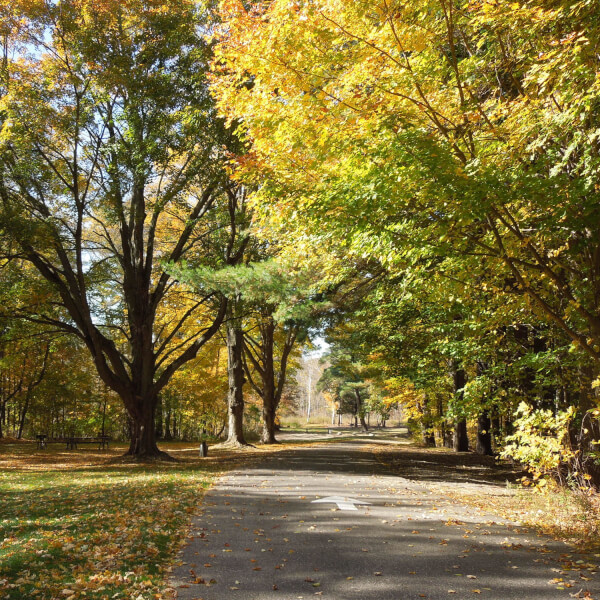 Townsend Park in Rockford.