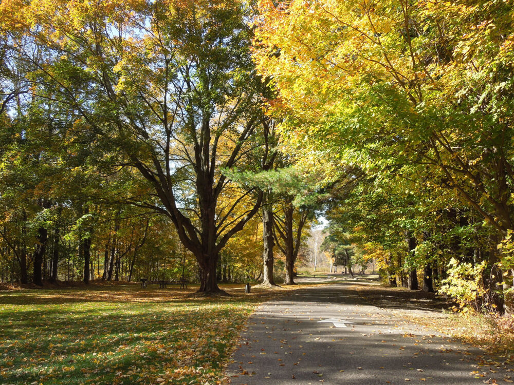 Townsend Park in Rockford.